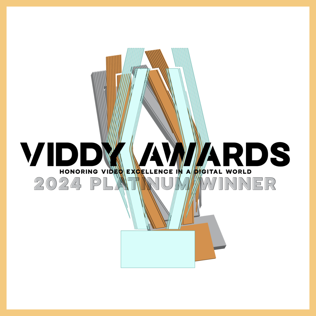 Viddy 2024 Plat
