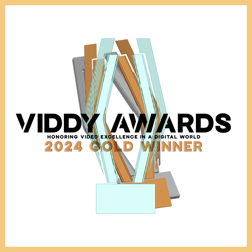 Viddy Gold 2024